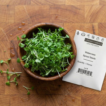 True Watercress, Cress Seed - Packet image number null